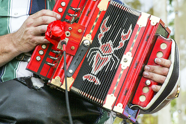 Cajun Accordian