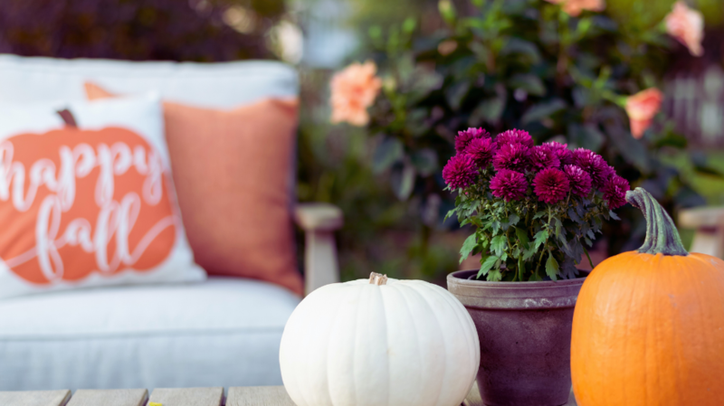 Fall Patio